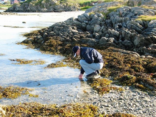 Urlaub in Norwegen 2006